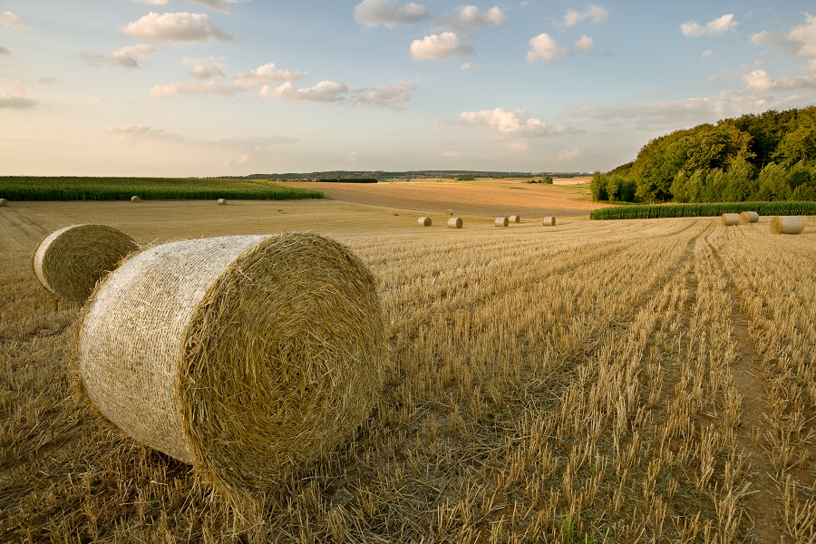 pacht verjaring pachter grond