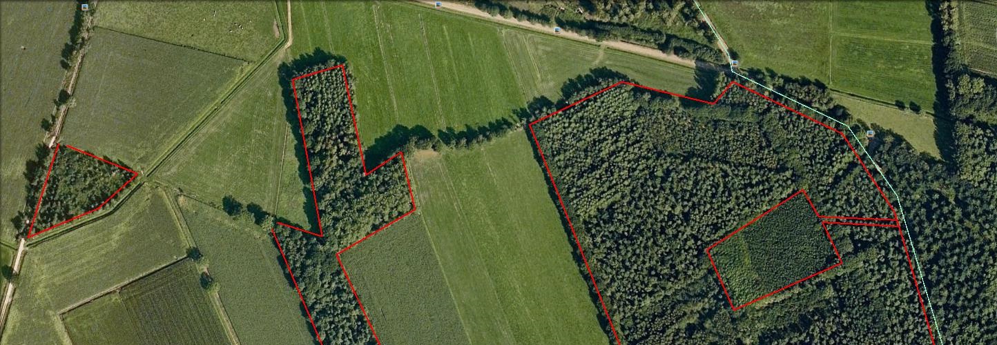 verjaring bos bezit houderschap